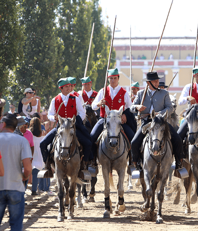 Campinos a cavalo nas largadas de Touros no Colete Encarnado, em Vila Franca de Xira